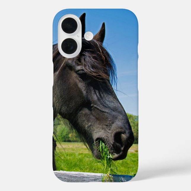 Funda iPhone 16 Caballo frisón negro (Reverso )