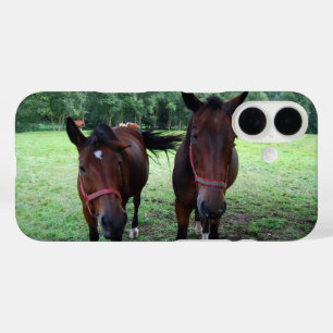 Funda iPhone 16 Caballos marrón oscuro en pastizal