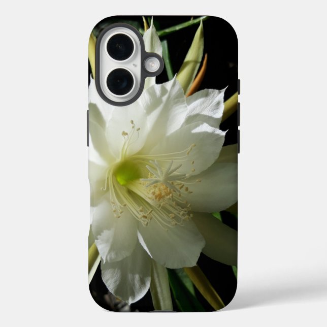 Funda iPhone 16 Cactus Bloom (Reverso )
