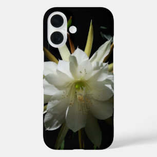 Funda iPhone 16 Cactus Bloom