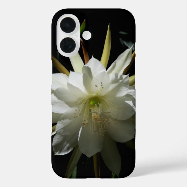 Funda iPhone 16 Cactus Bloom (Reverso )