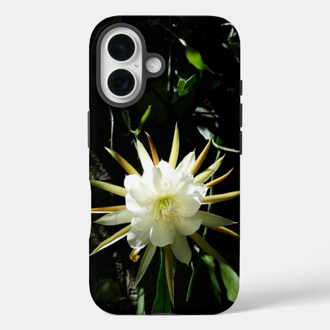 Funda iPhone 16 Cactus Bloom (Reverso )