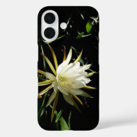 Cactus Bloom