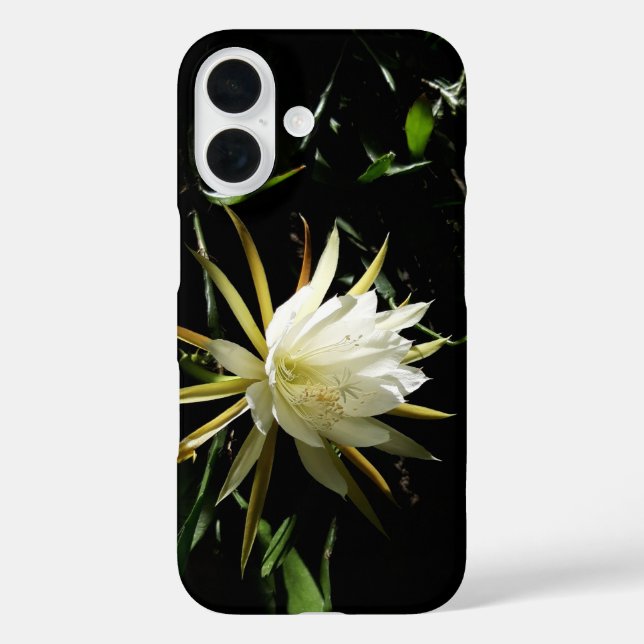 Funda iPhone 16 Cactus Bloom (Reverso )