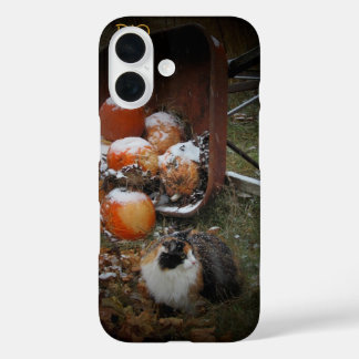 Funda iPhone 16 Calabazas de cosecha y gato calico