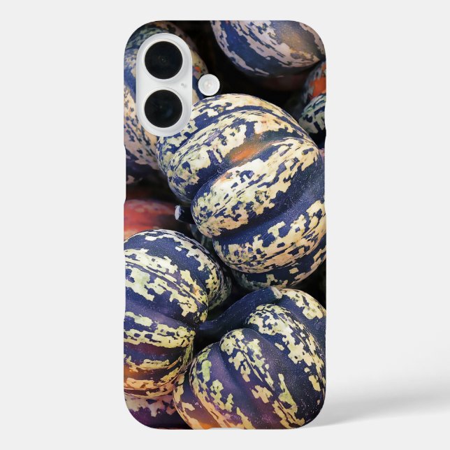 Funda iPhone 16 Calabazas rayadas rústicas (Reverso )