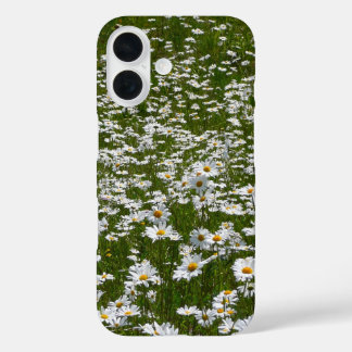 Funda iPhone 16 Campo de flores silvestres de Daisies Alaskan
