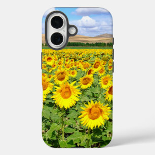 Funda iPhone 16 Campo de girasoles