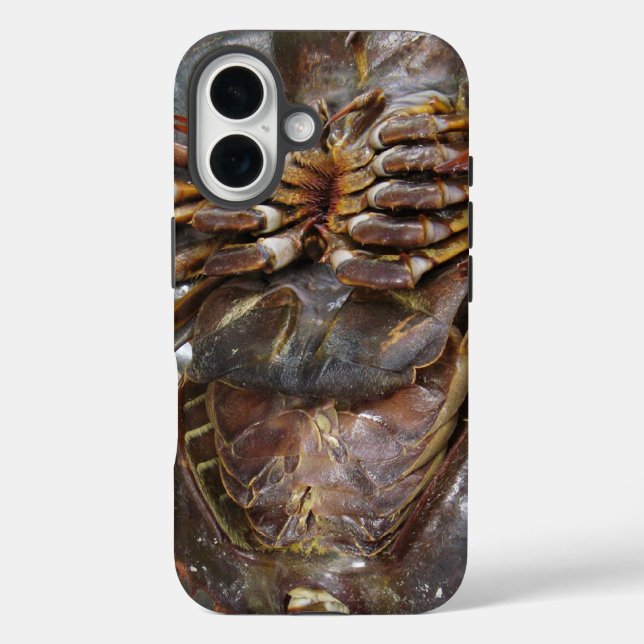 Funda iPhone 16 Cangrejo herradura... Comida callejera tailandesa  (Reverso )
