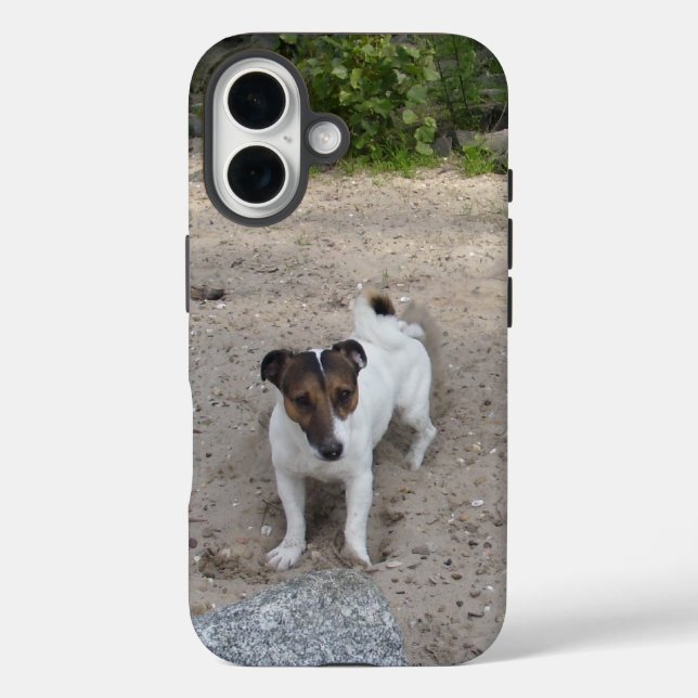 Funda iPhone 16 Capo von Oppenheim Jack Russell Terrier, Perro (Reverso )