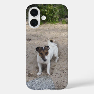 Funda iPhone 16 Capo von Oppenheim Jack Russell Terrier, Perro