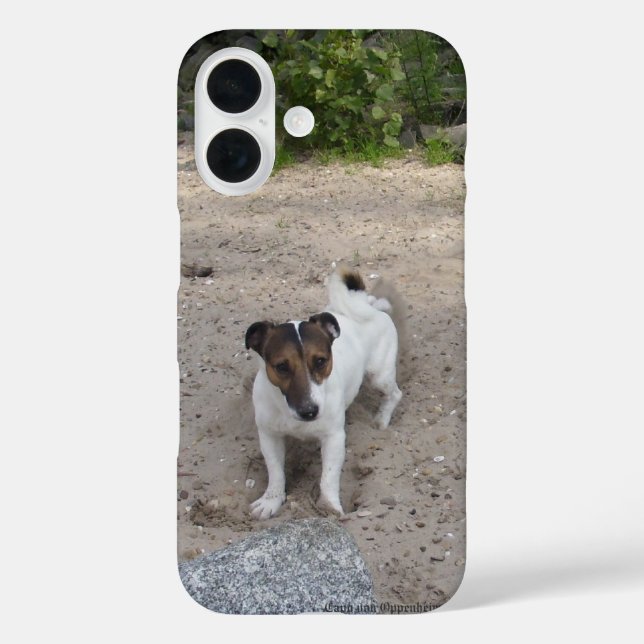 Funda iPhone 16 Capo von Oppenheim Jack Russell Terrier, Perro (Reverso )
