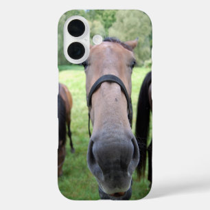 Funda iPhone 16 Cara de caballo