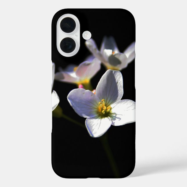 Funda iPhone 16 Cardamine Pratensis Flores iphcna (Reverso )