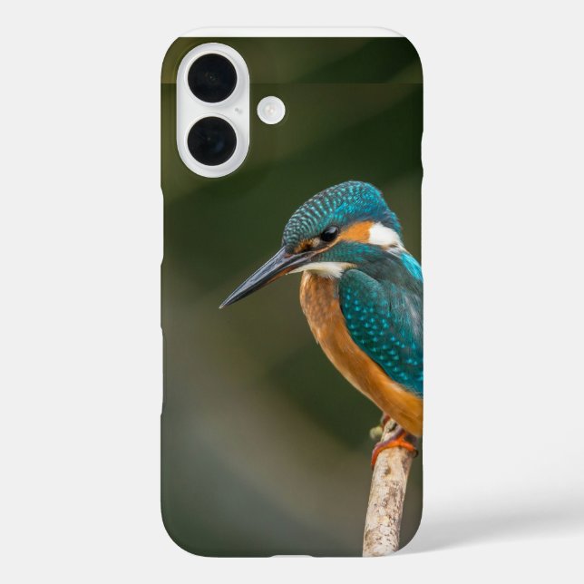 Funda iPhone 16 Caso de teléfono móvil (Reverso )