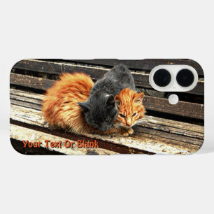 Funda iPhone 16 Catnap Cuties