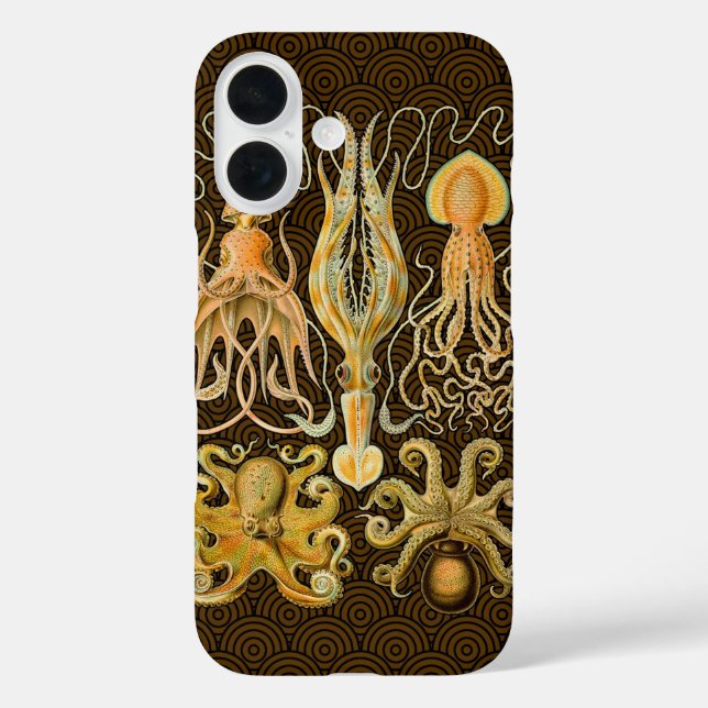 Funda iPhone 16 Cephalopod Octopus Naturaleza marina de calamar (Reverso )