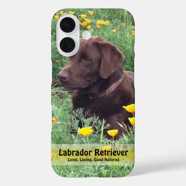 Funda iPhone 16 Chocolate Lab en California Poppy Patch (Reverso )