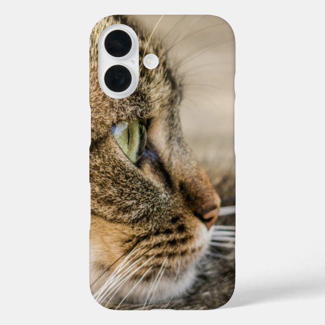 Funda iPhone 16 Cierre de la cara de gato de tabla (Reverso )