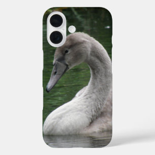 Funda iPhone 16 Cisne agraciado en el agua