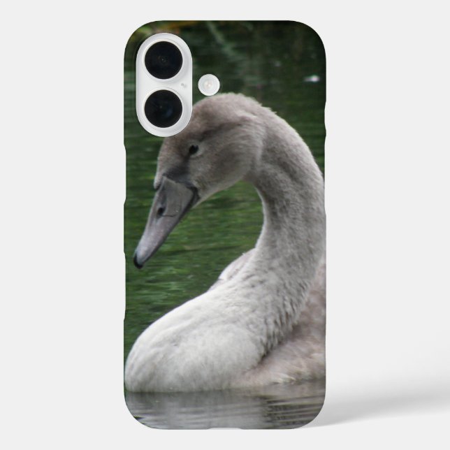Funda iPhone 16 Cisne agraciado en el agua (Reverso )
