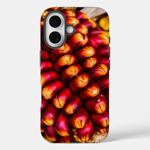 Funda iPhone 16 Coberturas de maíz