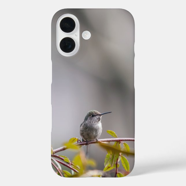 Funda iPhone 16 Colibrí 3346 (Reverso )