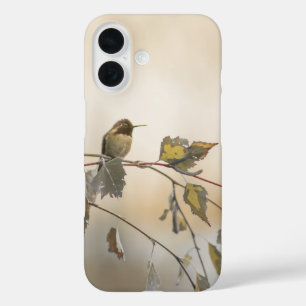 Funda iPhone 16 Colibrí 5265