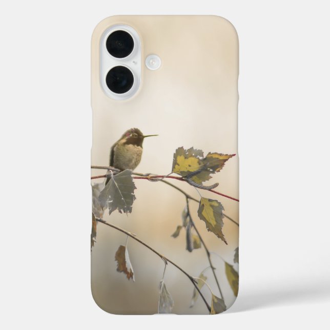 Funda iPhone 16 Colibrí 5265 (Reverso )