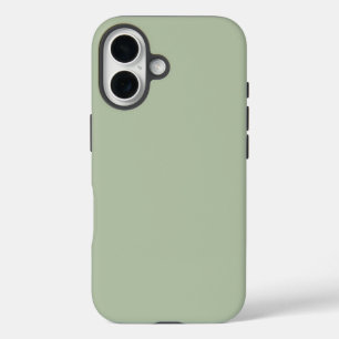 Funda iPhone 16 Color de color verde claro