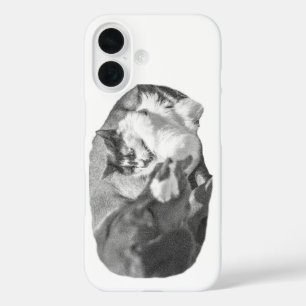 Funda iPhone 16 Compañeros de porche sombreados
