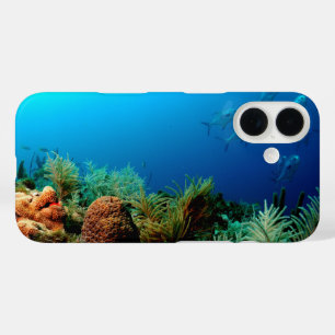 Funda iPhone 16 Coral Reef, Parque Nacional de Tortugas Secas, Flo