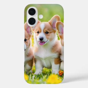 Funda iPhone 16 Corgi lindo jugando en la hierba