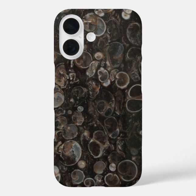 Funda iPhone 16 Cruce Turritella Agate (Reverso )