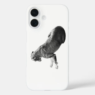 Funda iPhone 16 Cubierta de fuerza silenciosa