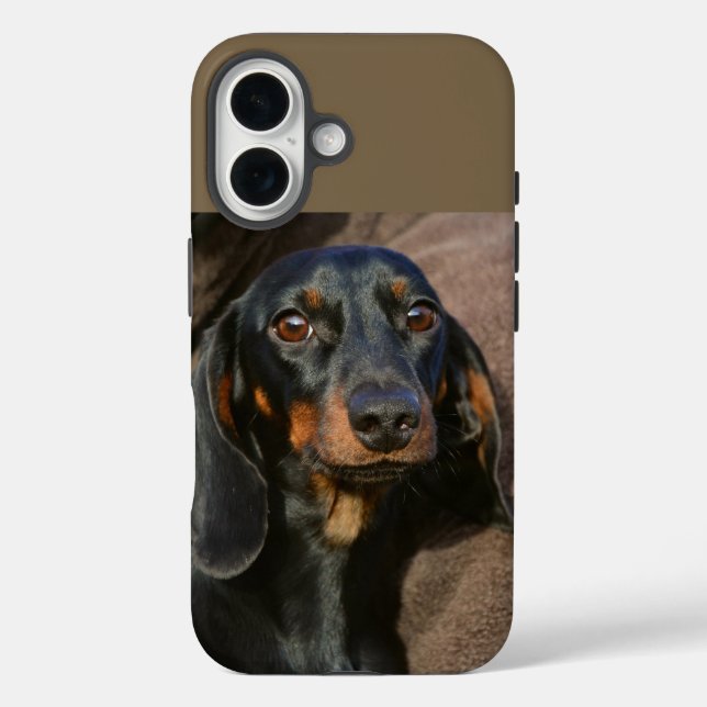 Funda iPhone 16 dachshund negro y marrón (Reverso )