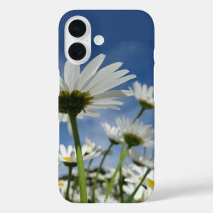 Funda iPhone 16 Daisies alcanzando el cielo