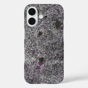Funda iPhone 16 Detalles del rosa de roca del granito de la