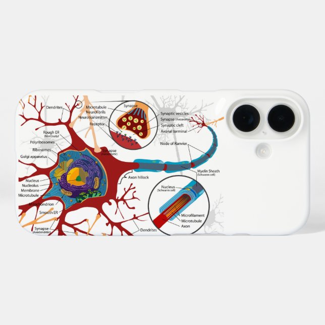 Funda iPhone 16 Diagrama Neurona Completa Celula Nervio Sistema Ne (Reverso (Horizontal))