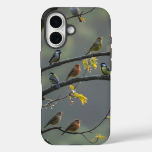 Funda iPhone 16 Diversas aves encaramadas en ramas de árboles