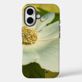 Funda iPhone 16 Dogwood