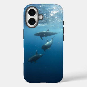 Funda iPhone 16 Dolphin Family Underwater