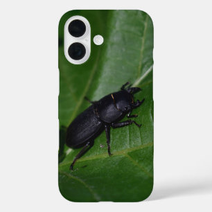 Funda iPhone 16 Dorcus parallelipipedus , el escarabajo de menor t