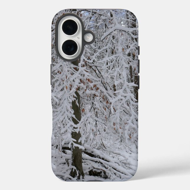 Funda iPhone 16 Dosel de abedul nevado (Reverso )