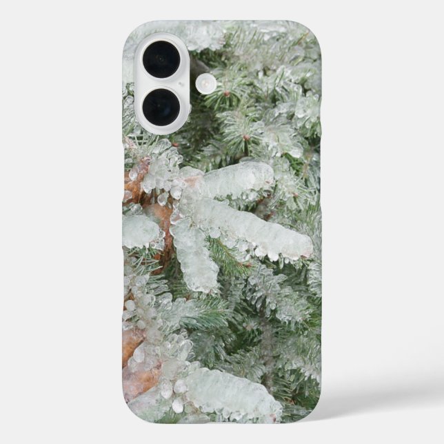 Funda iPhone 16 Douglas Fir cubierta de hielo (Reverso )