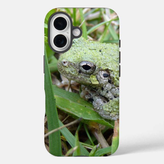 Funda iPhone 16 Eastern Grey Treefrog Nature Photography (Reverso )