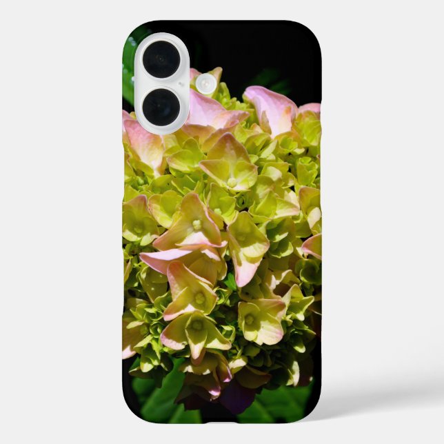 Funda iPhone 16 Elegante hidráneas florales rosa y verde suave (Reverso )