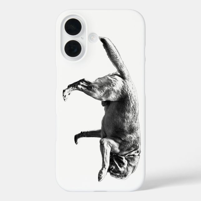 Funda iPhone 16 Encanto fotográfico (Reverso )