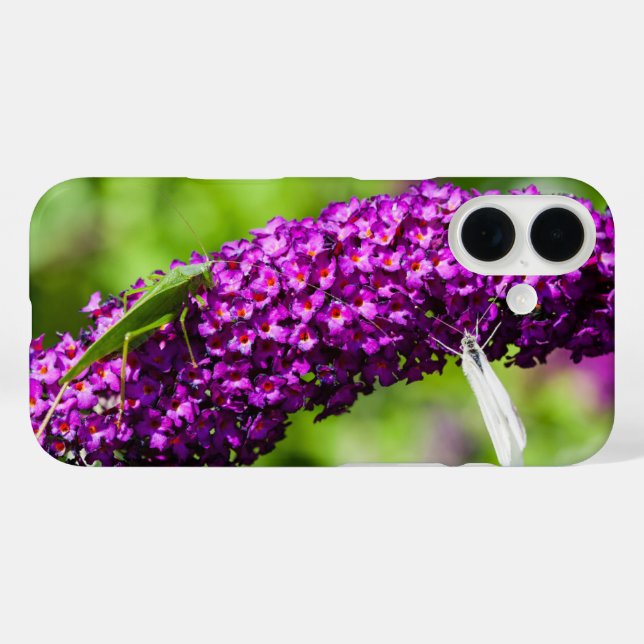 Funda iPhone 16 energía de katydid (Reverso (Horizontal))