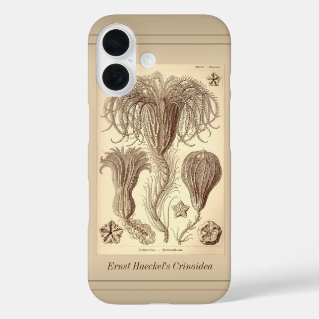 Funda iPhone 16 Ernst Haeckel Crinoids - Página completa (Reverso )